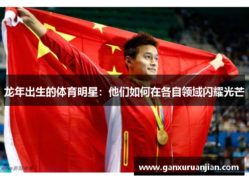 龙年出生的体育明星：他们如何在各自领域闪耀光芒